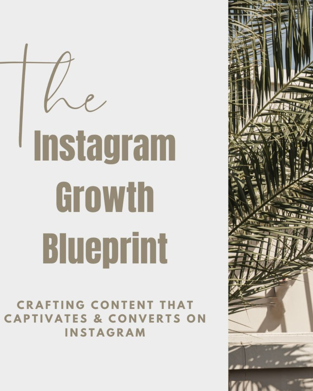 The New Instagram Growth Blueprint (Mini Course W/MRR & PLR)